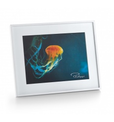 PHILIPPI Рамка за снимки...