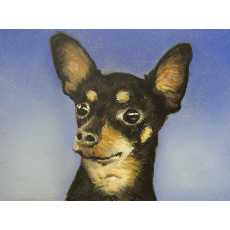 Портрет на домашни любимци