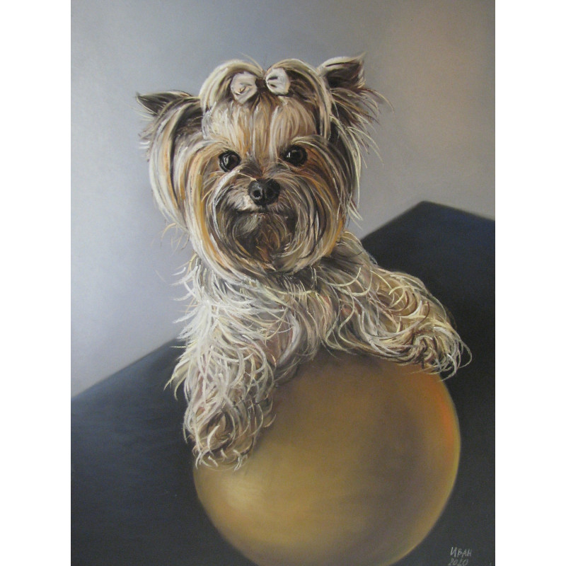 Портрет на домашни любимци