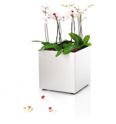 BLOMUS Метална саксия...