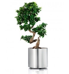 Подвижна саксия ф 60 - XL