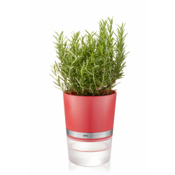 GEFU Самополиваща се кашпа...