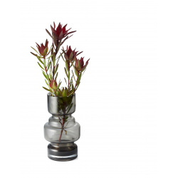 PHILIPPI Стъклена ваза...