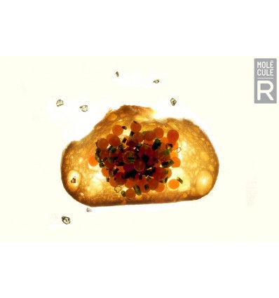 Молекулярна кухня