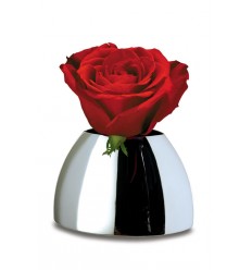 Булб ваза малка