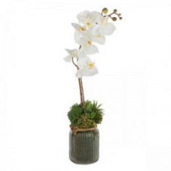 Аранжировка орхидея