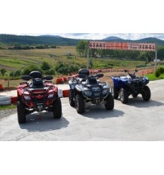 КАРАНЕ НА АТВ