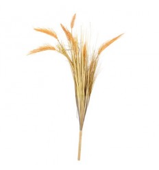 Житна трева