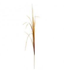 Трева оранжева 141 см.