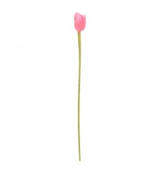 Лале розово