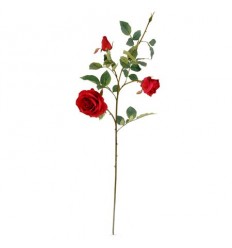 Роза червена