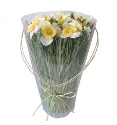 Аранжировка нарциси