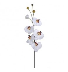 Орхидея бяла 86см.