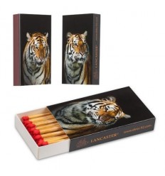 Кибрит тигри