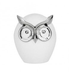 Касичка бухал